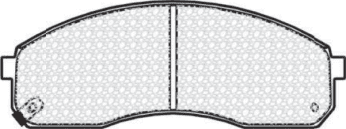 Kia Carnival / Kia Pregio-anterior